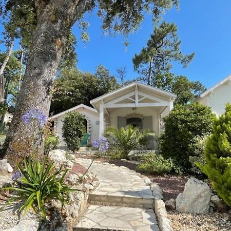圣乔治德蒂Adorable Petite Maison A 400M De La Mer别墅 外观 照片